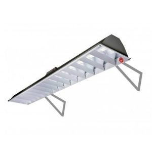Bộ Đèn LED Chiếu Sáng Bảng Rạng Đông T8 TT01 CSBA/20Wx1