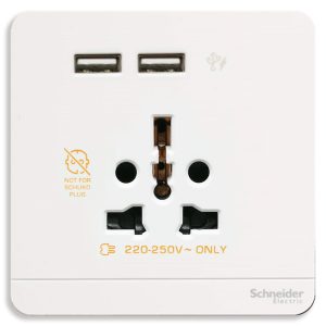 Bộ Ổ Cắm Đa Năng Và Sạc USB Đôi Schneider E8342616USB_WE_G19