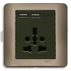 Ổ Cắm Đa Năng Và Sạc USB Đôi Schneider E8442616USB_SZ_G19
