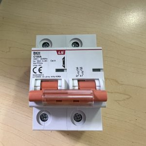Aptomat MCB Tép LS BKH 2P 100A