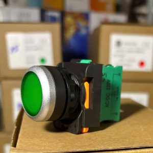 Nút Nhấn Nhả Có Đèn Xanh Shizuma D22 220V SZB022-BPM110G220