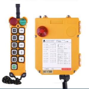 Bộ Điều Khiển Cẩu Trục Từ Xa Telecrane 10 Nút F24-10S